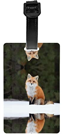 Lustige Fuchs-Gepäckanhänger, Taschenanhänger für Gepäck, Kofferanhänger, Gepäckanhänger mit Namensausweis, für Damen und Herren, Reisen