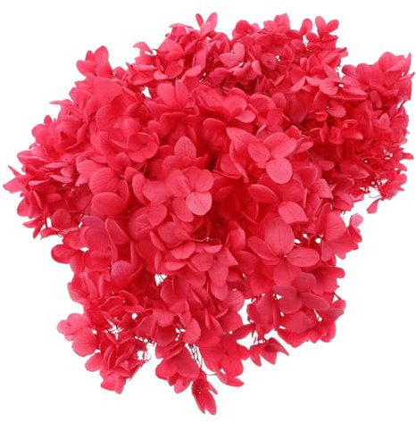 Cabilock Rosa Preservada Natural De Caja Flores De Secas Reales Material Floral Hecho Mano para Manualidades Obsequio para Día De San Valentín o Navidad