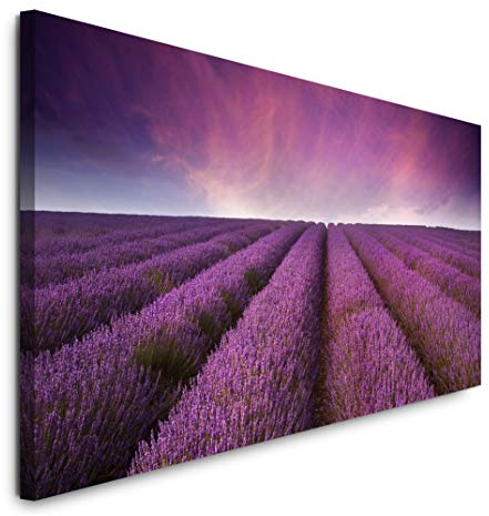 Paul Sinus Art GmbH Lavendel Felder 120x 50cm Panorama Leinwand Bild XXL Format Wandbilder Wohnzimmer Wohnung Deko Kunstdrucke