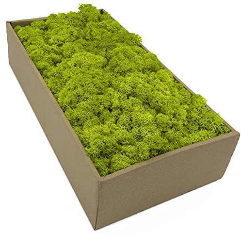 Islandmoos - Moos in 5 versch. Farben 250gr / 500 gr / 1Kg echtes konserviertes Natur Moos zum Moosbild basteln Deko und Modellbau (Frühlingsgrün, 500 gr)
