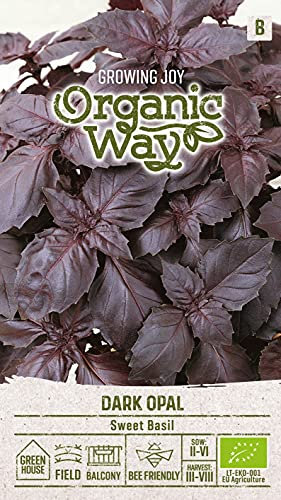 Organic Way | BASILICO OPALE SCURO semi | Semi di fiori | 1 confezione