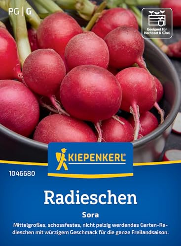 Kiepenkerl Radieschensamen Sora 1046680 - Leuchtend rote Knollen, würziger Geschmack, ideal für Beet & Topf, schnell wachsende Gemüsesamen, nicht pelzig