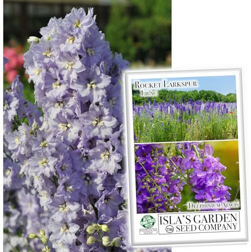 Larkspur Rocket Lilac Flower Seeds, 250 Seeds Per Packet, (Isla's Garden Seeds), Non GMO & Heirloom Seeds, Scientific Name: Consolida ajacis