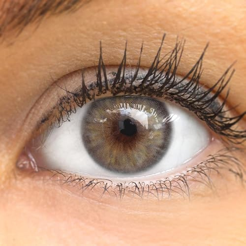 GLAMLENS Avila Gray Grau - Graue Natürlich Aussehende Dezente Farbige Kontatklinsen ohne Stärke - 3 Monate farbig mit Kontaktlinsenbehälter