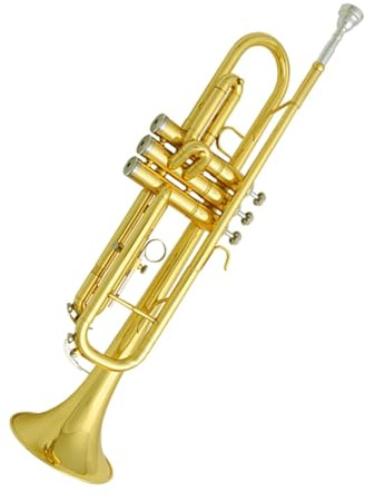B-Trompete ein für Anfänger geeignetes Instrument