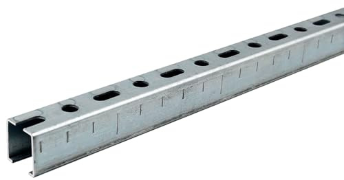Dalsys 10x Montageschiene 28/30, Schienenkonsole 200cm Silber | Lochschiene Stahl verzinkt, C-Profilschiene, U-Schiene, u.a. zur Bildung von Traversen
