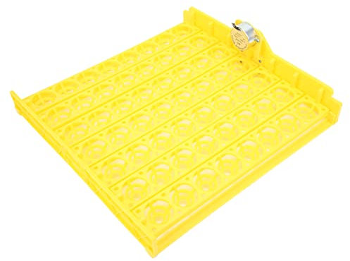Inkubatoren Zum Ausbrüten von Wachteleiern, Wachteleihalter, 56 Eier, Automatischer Eierwender, Wachtelei-Inkubator, Wachtelei-Inkubator-Ausrüstung Zum Ausbrüten Kleiner Großer