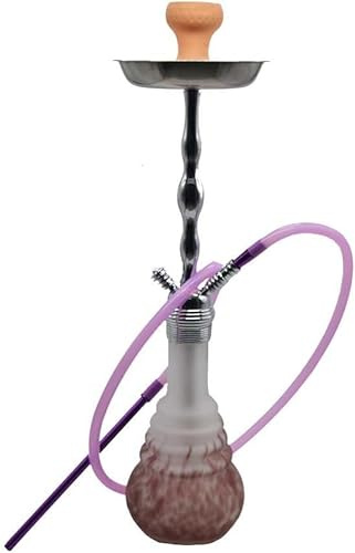 Horus Tao Shisha Hookah de Acero Inoxidable, 70 cm, con Manguera de Silicona 150 cm, Cazoleta de Terracota
