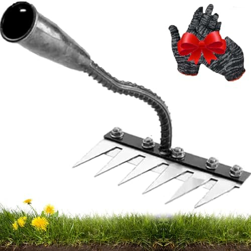 Rateau De Désherbage Berthaus, Râteau De Désherbage De Jardin en Acier Au Carbone, 8 Dents Râteau De Jardin en Métal Très Résistant, Râteau en Fer pour Jardinage Et Désherbage (6 Dents)
