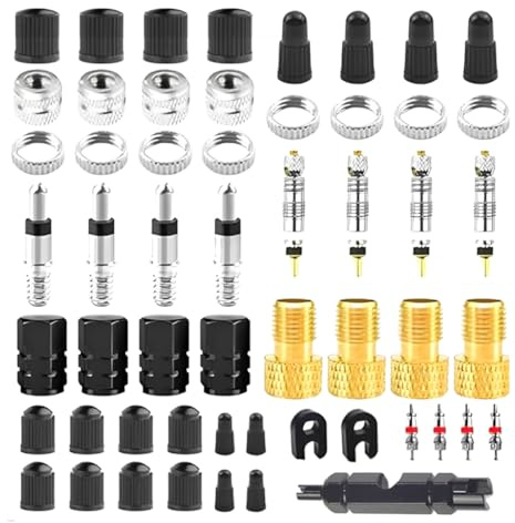 Ventileinsatz Ersatz Set, 55 Stück, Fahrradventil Adapter Set, Ventiladapter für Fahrradventileinsatz, Dicht, langlebig, inkl, Austausch des Ventilkerns, für Fahrräder und Mountainbikes