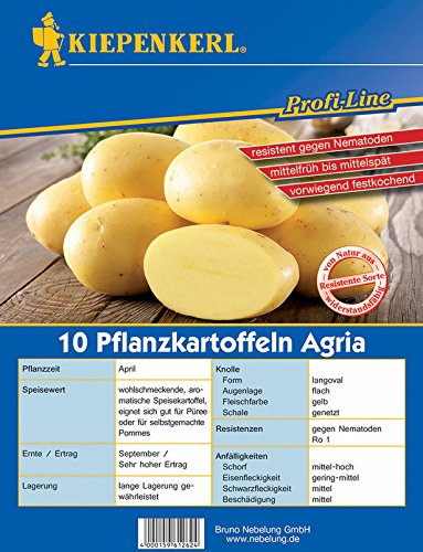 Pflanzkartoffel Agria - mit gelbem Fruchtfleisch - mittelfrüh bis spät reifend - vorwiegend festkochend, wohlschmeckend und mit angenehm kräftigem Geschmack - Packung mit 10 Stück ca. 850 g