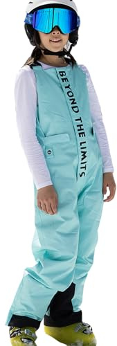 PHIBEE Kids' Insulated Waterproof Snow Pants Windproof Warm Ski Bib Overalls for Boys and Girls Sky Blue 16