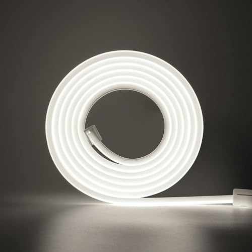 HEGEHE 220V Tira de LED COB 5M,288LEDs/m Flexible de Alta Densidad Blanco Frio FCOB Tira Luces,IP65 Super Brillante LED Tira de Luz con Enchufe Interruptor para Dormitorio,Iluminación de Armarios