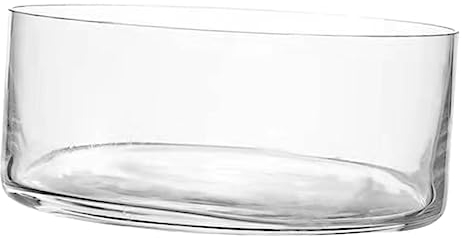 HOOTNEE Jarrón De Vidrio Transparente Redondo Maceta Decorativa para Plantas y Flores Hidropónicas Recipiente Multipropósito para Hogar y Oficina