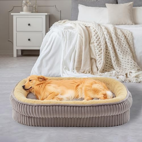 DEBANG HOME Orthopädisches Hundebett für mittelgroße Hunderassen, hochdichtes Schaumstoff-Hundesofa, ovales Hundebett, Haustier-Couch-Bett mit vierseitiger Nackenrolle, abnehmbarem, waschbarem Bezug