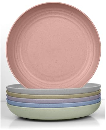 JSYMJSY Tiefe Teller Set, 6Teilig 23cm Speiseteller Bruchfest, Essteller Plastik Mehrweg, Camping Teller, Leicht, Kunststoff BPA-Frei Mikrowellenfest Spülmaschinenfest, Bunt