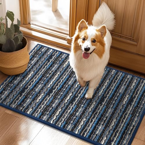 Biscpro Tapis d'entrée Interieur 50x80cm Paillasson,Antidérapant Lavable Tapis de Porte,pour Passage,Couloir,Cuisine,Terrasse,Jardin,Chambre-Bleu