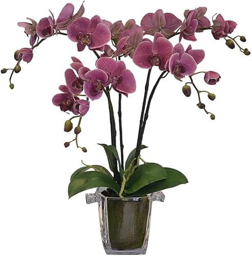 QTYQWC Orchidea artificiale fiori di alta qualità Phalaenopsis fiori pianta orchidee bouquet artificiale con vaso in vetro trasparente fiori artificiali aspetto naturale