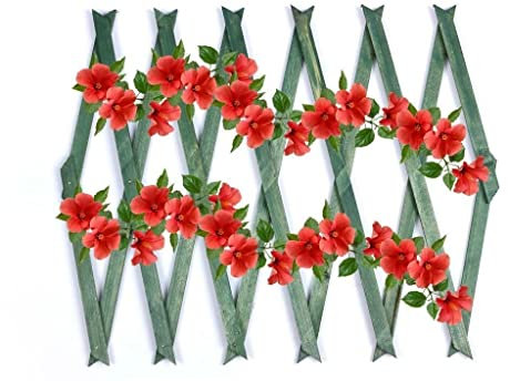 ADEPTNA Premium Expanding Garden Wooden Trellis – Easy Installation Outdoor Fence Décor Screening Patio Support For Growing Climbing Plants Flowers Lattices (180cm x 90cm, Green)