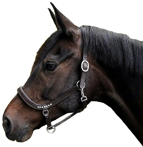 Brama West Pferderhalfter Leder Halfter „Contess“, Gr. Full