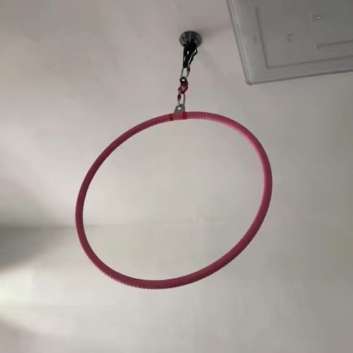 CHZDPP Aerial Yoga Hoop Kit with Non-slip Tape & Ceiling Anchor, Hanging Yoga Hoop for Home/Dancing Studio/Gym, Stainless Steel Large Hoop for Women/Men(25mm,Aerial silks stand)