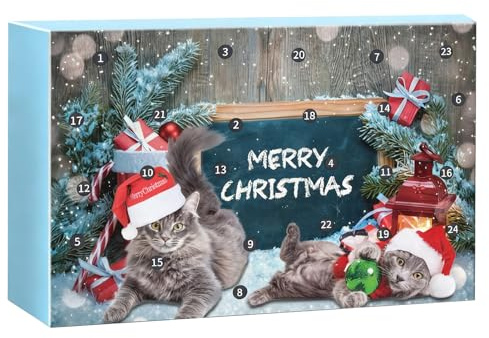 Adventskalender Leksak För 2025 Interaktiva Leksaker För Med 24 Dagar