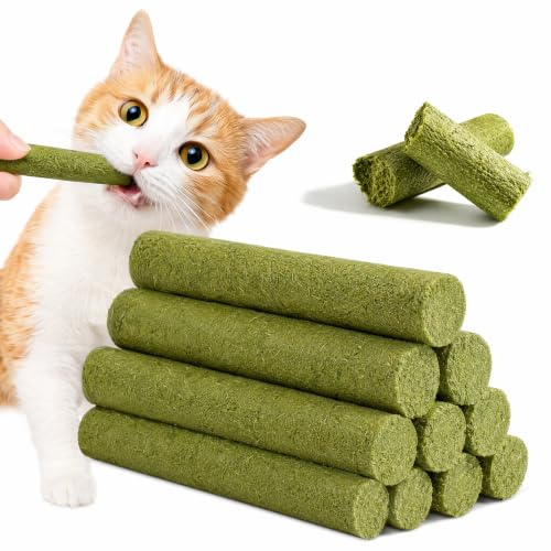 Aomhrek Kattgräs tandpinne, kattgräspinnar, kattmynta pinne, katt tandgodis, katt tuggpinnar, katt tandleksak för hårboll borttagning, rengöring av katttänder (30)