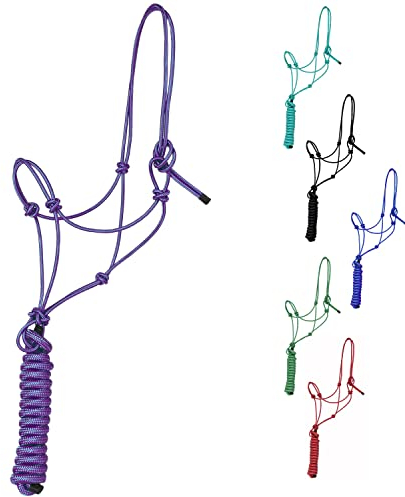 Majestic Ally 1/4 Zoll Seil 4 Knoten steif Polyester Trainingshalfter mit 3,4 m passendem Führstrick für Pferde – Voll (lila, voll)