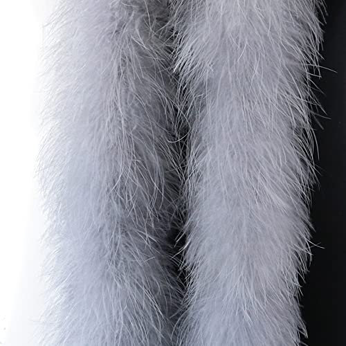 2M Flauschige Federboa für Handwerk Hochzeit Kostüm Bühnendekoration Fuzzy Feathers Boas Trim Stripe DIY Plume 50Gram-Grau,22G