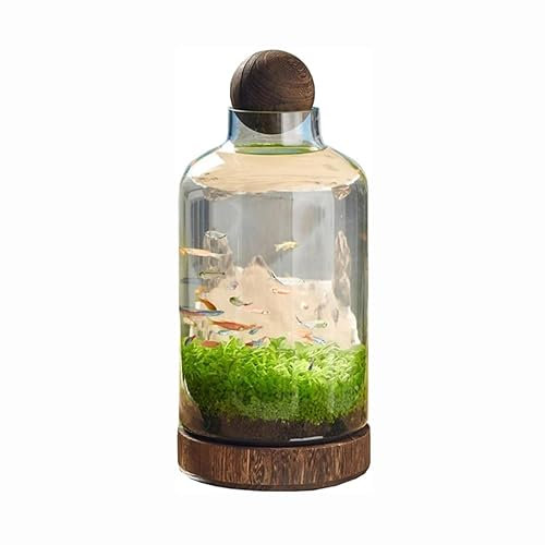 Desktop Fish Tank Creative Water Tank Hydroponic Plant Fish Tank Water Grass Seed Micro-landscape Ecological Bottle Diy Ecological Glass Fish Tank Decor Fish Bowl