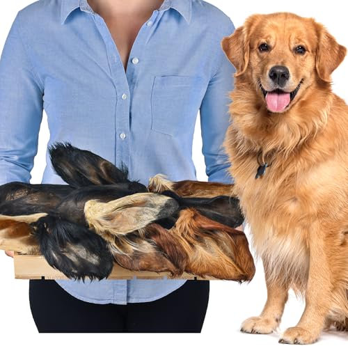 Rinderohren mit Fell für Hunde 10 Stück | Natürlicher Kausnack | fettarm & ohne Zusätze | Qualitätskauartikel für Zwischendurch