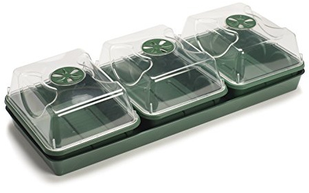 EarlyGrow Unheated 3 Bay Windowsill Propagator 54.5 x 21.5 x 13cm | For seed germination and plant growth. Ideal for greenhouse and windowsill use.