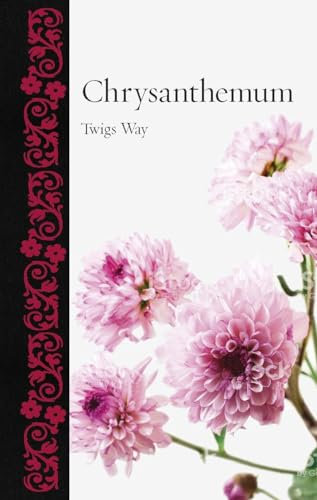 Chrysanthemum (Botanical)