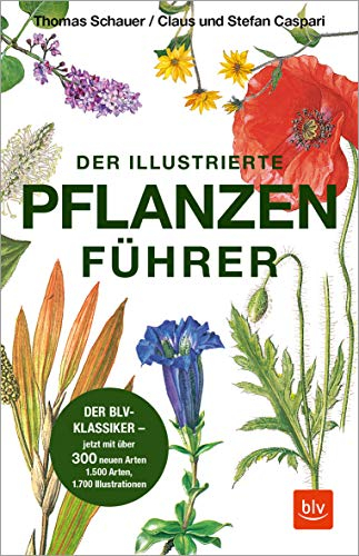 Der illustrierte Pflanzenführer: Der BLV-Klassiker – jetzt mit über 300 neuen Arten (BLV Naturführer)