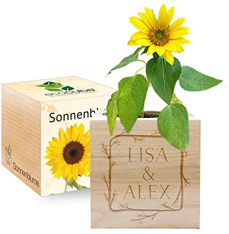 Gravierter EcoCube Blumenrahmen (Sonnenblume)