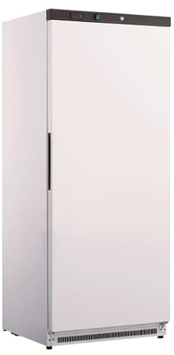Iceshop Armoire réfrigérée positive ventilée 600 L