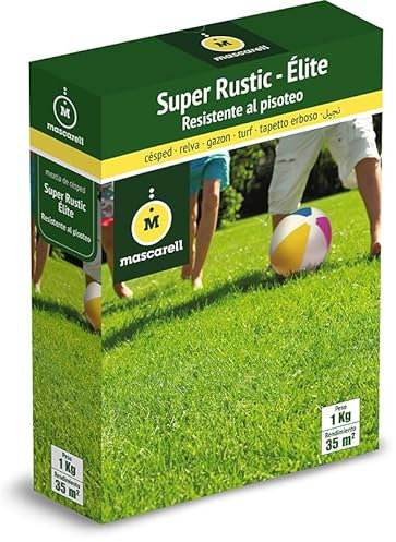 Mascarell Semillas, SUPER RUSTIC-ELITE, Semillas de Césped, Verde y Duradero, Compacto y Resistente, 1 kg