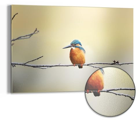 DEQORI Metall Magnettafel | 60x40 cm cm groß | Motiv Königsfischer auf Zweig | Whiteboard für alle Magnete | Magnetboard Wand-Tafel für Küche & Büro | Design Magnetwand Pinnwand magnetisch