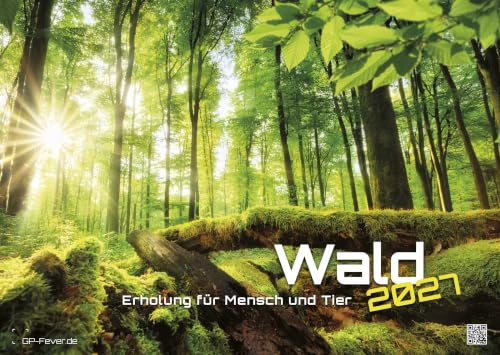Wald 2027 Kalender - Natur & Erholung, Wandkalender DIN A2 - GP-Fever.de | 14 Waldfotografien, Silber Wire-O-Bindung, stabiler Aufhänger, Made in Germany – ideal als Geschenk