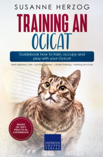 Training an Ocicat – Guidebook how to train, occupy and play with your Ocicat: Well-adjusted cats – hunting games – clicker training – training structure