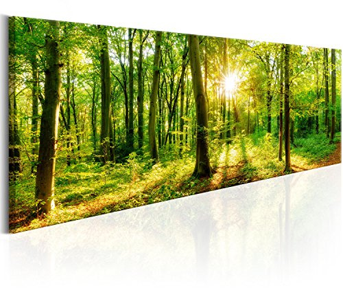 B&D XXL - Leinwandbild Natur Panorama Baum, 120x40 cm, 1-teilig, Wohnzimmer | Hochwertige Leinwand, sofort aufhängbar, ideal fürs Wohn- oder Schlafzimmer, wasserfest und lichtecht, langlebig, stilvoll