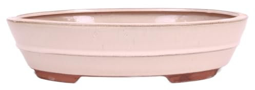 generisch Bonsai - Schale oval 31.5 x 24 x 8 cm, Creme 40445