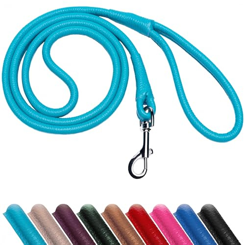 OOPSDOGGY Hundeleine aus gerolltem Leder, 1,8 m, robuste Trainingsleine für kleine, mittelgroße und große Hunde und Welpen, Schwarz, Braun, Rot (Blau, L)
