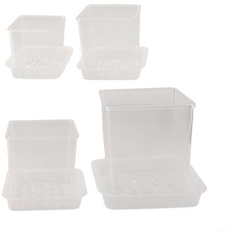 Macetas modernas transparentes con drenaje para cactus, suculentas y flores, juego de 4 (con bandeja)