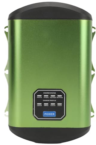 12V Batteriladdare Flerstegs Smart Laddning Effektiv för Husbilar Båtar