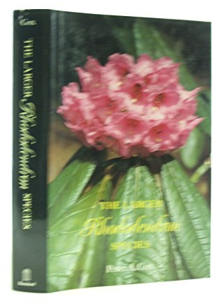 LARGER RHODODENDRONS