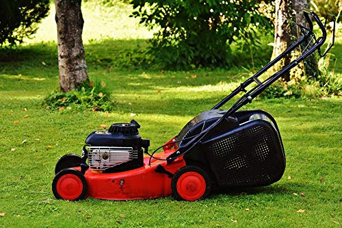 Gardening Lawn Mower Grass Surface Mow Cut Grass Vivid Imagery Laminated Poster Print-20 Inch by 30 Inch Laminated Poster with Bright Colors and Vivid Imagery