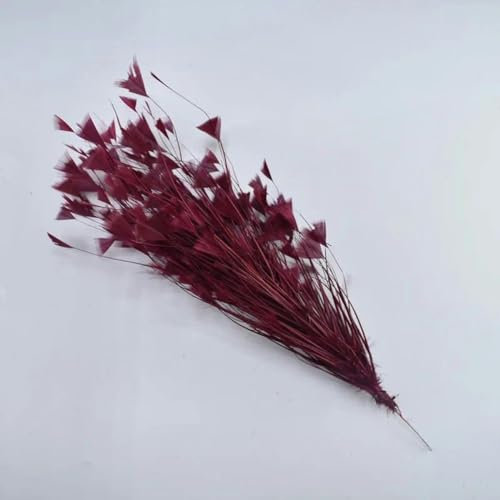 Plumes de fleurs, accessoires artisanaux, plumes de dinde blanches, décoration de Plumes, bricolage, rouge vin