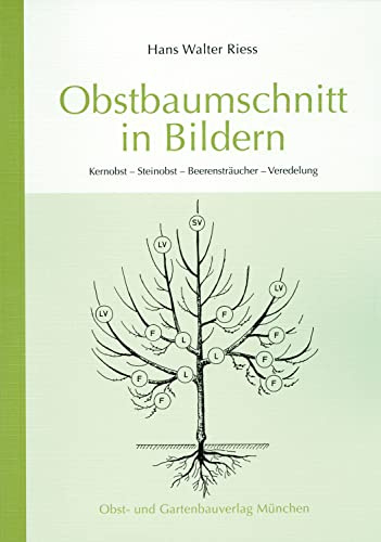 Obstbaumschnitt in Bildern: Kernobst - Steinobst - Beerensträucher - Veredlung (Arbeitshefte für die Gartenpraxis)