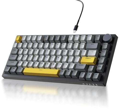 Ajazz AK820 75% Wired Gasket Mechanical Gaming Keyboard with Volume Knob - South Facing LED - PBT Keycaps - Programmable RGB Hot Swap Keyboard
